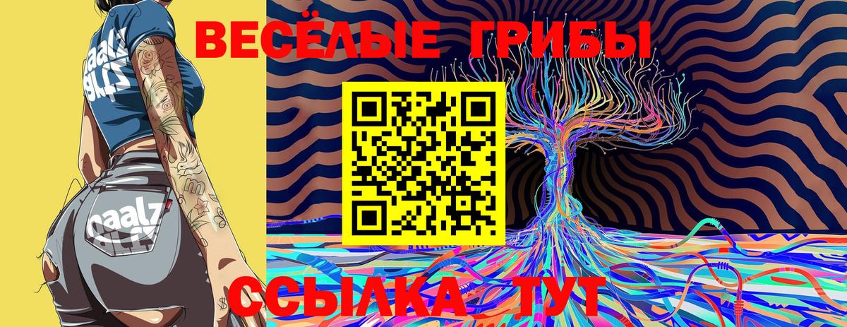 Великий Устюг  Галлюциногенные грибы Magic Shrooms  Вход с VPN  Галлюциногенные грибы GOLDEN TEACHER 