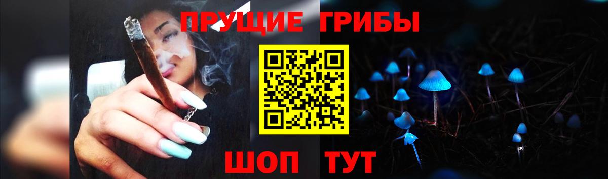 Псилоцибиновые грибы GOLDEN TEACHER Великий Устюг